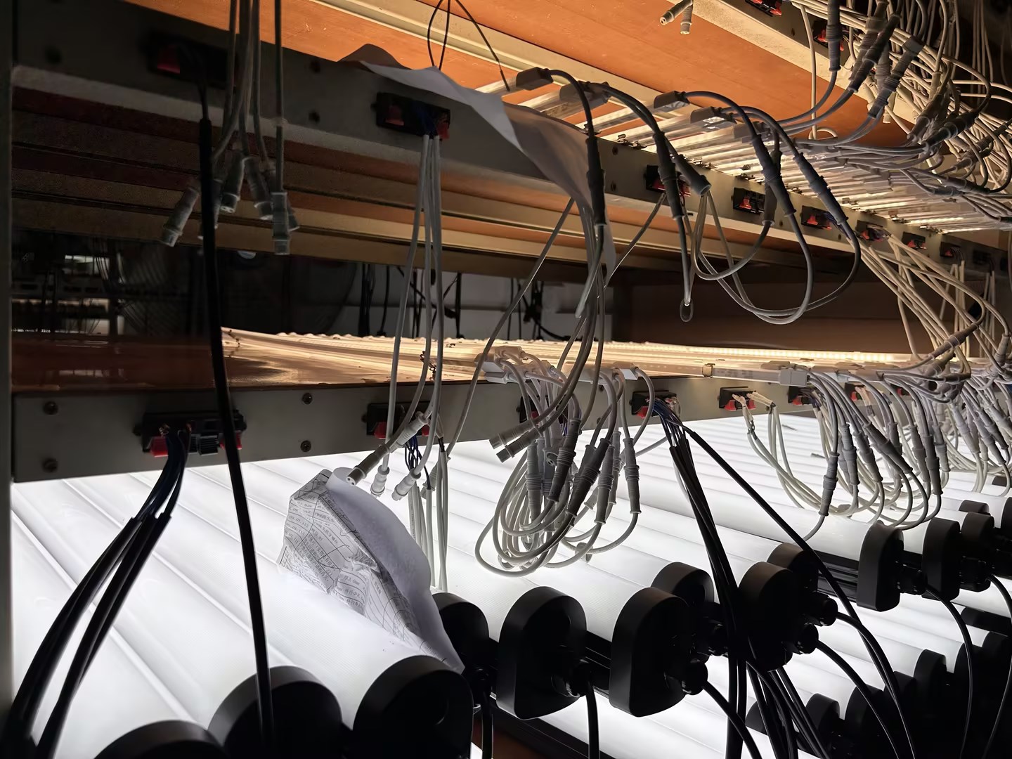 8f101b02-b9ba-4ab4-bcdd-4a360eff9dda.jpg 8f101b02-b9ba-4ab4-bcdd-4a360eff9dda.jpg