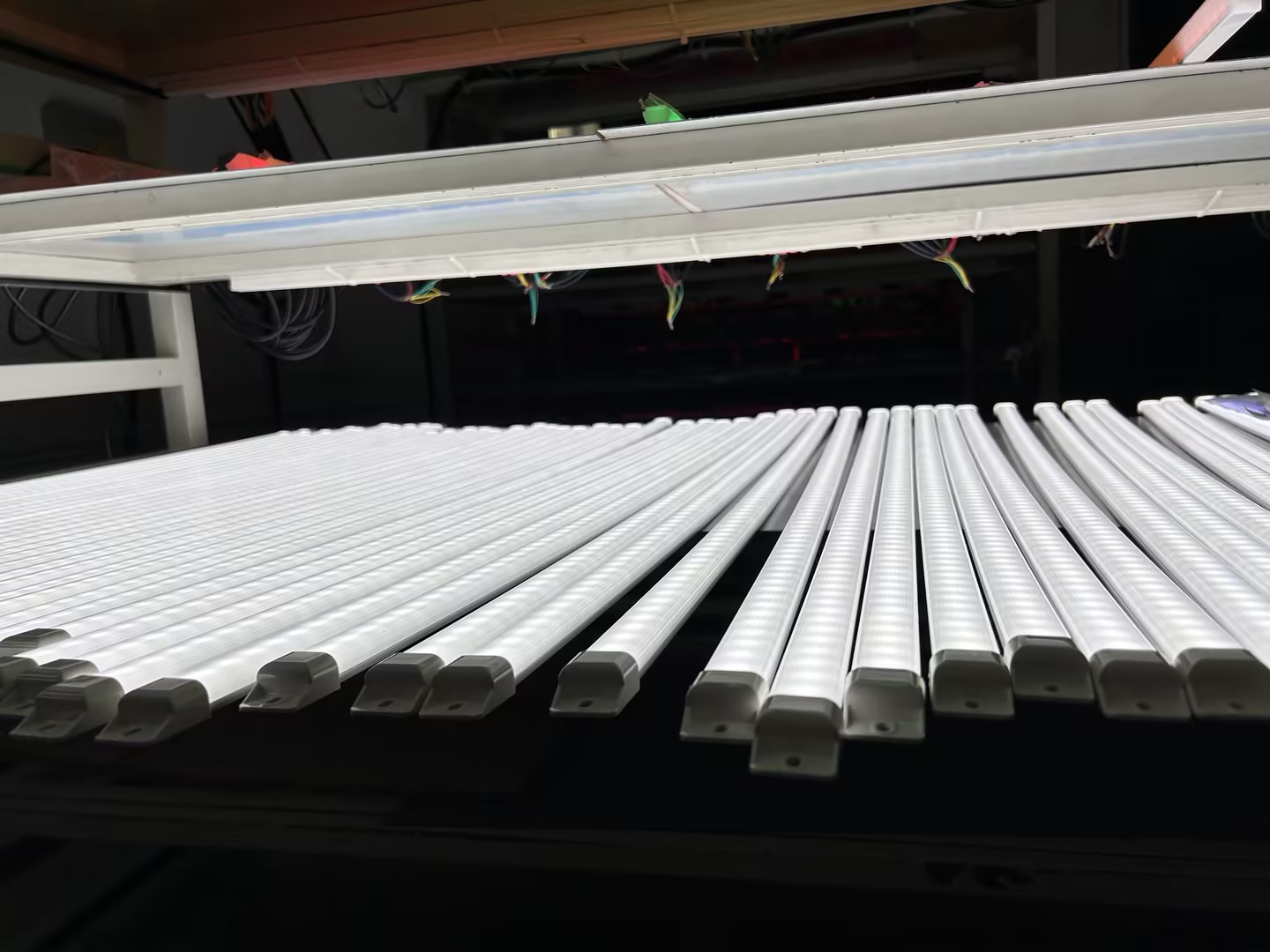 a729ff28-4bd2-4cbf-8cc4-e99a9709548b.jpg a729ff28-4bd2-4cbf-8cc4-e99a9709548b.jpg